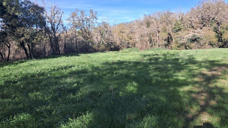 Terrain constructible - 2 000 m²