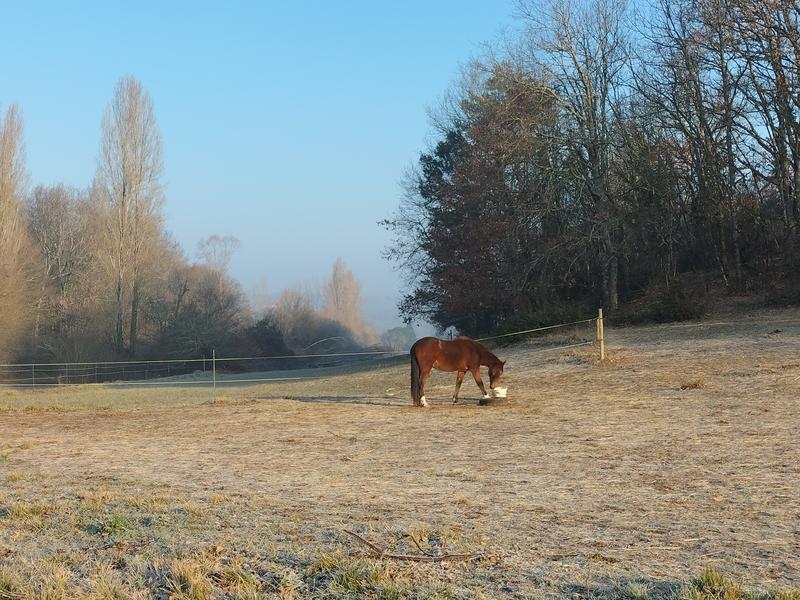 Tournon autour du Cheval