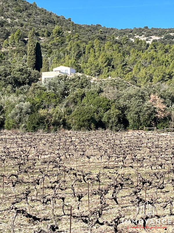 Mas - 385 m² - 10 pièces