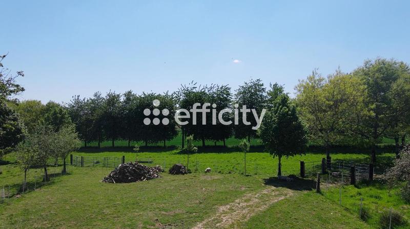 Maison de domaine équestre - 165 m² - 8 pièces