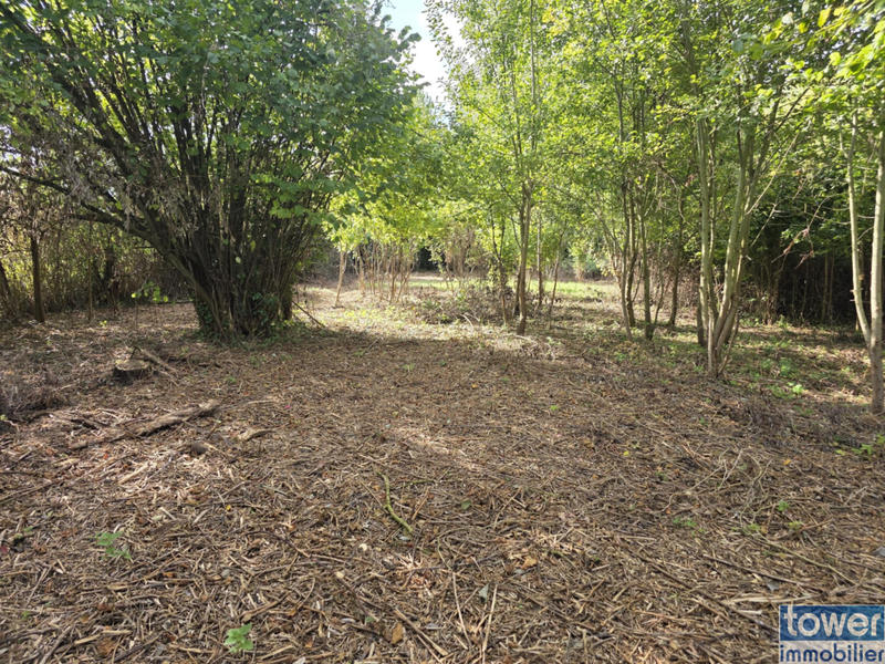 Maison - 162 m² - 6 pièces