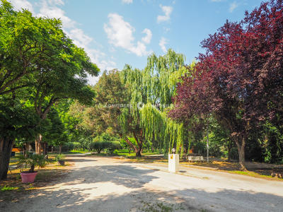 Local commercial - 10 000 m² - 10 pièces