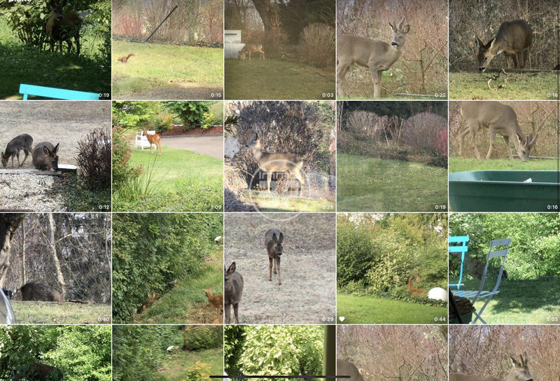 Maison - 240 m² - 5 pièces