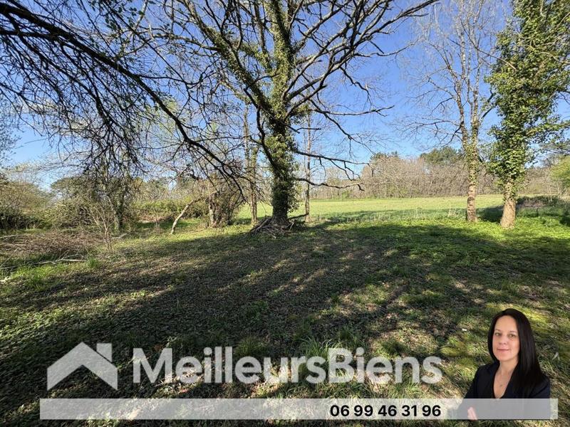 Maison en pierre - 123 m² - 6 pièces