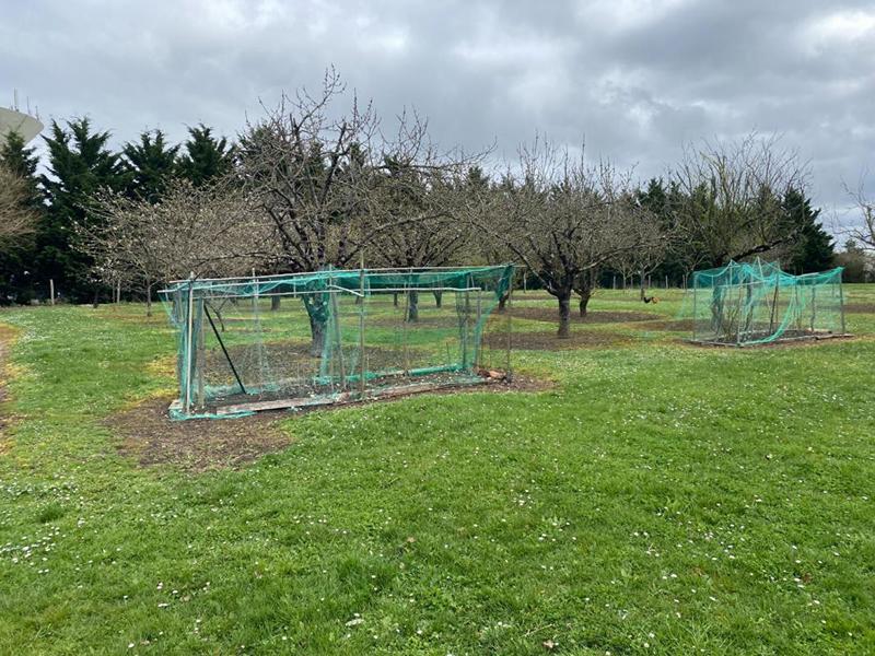 Maison - 86 m² - 4 pièces