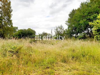 Maison - 130 m² - 4 pièces