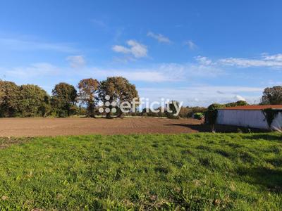 Terrain - 1 570 m²