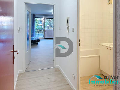 Studio - 28 m² - 1 pièce