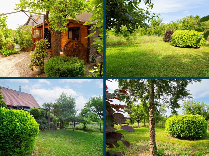 Viager - Maison ancienne - 90 m² - 4 pièces