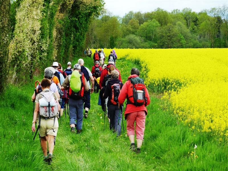 Randonnée en soirée accompagnée Préaux Saint Sébastien (Livarot Pays d'Auge) 10 kms