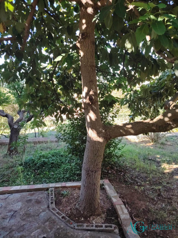 Maison - 164 m² - 7 pièces