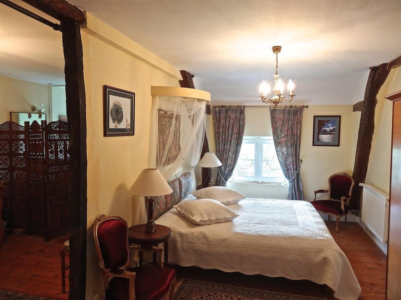 Château - 1 169 m² - 17 pièces