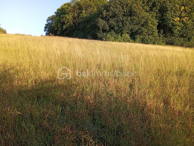 Terrain de loisirs - 1 934 m²