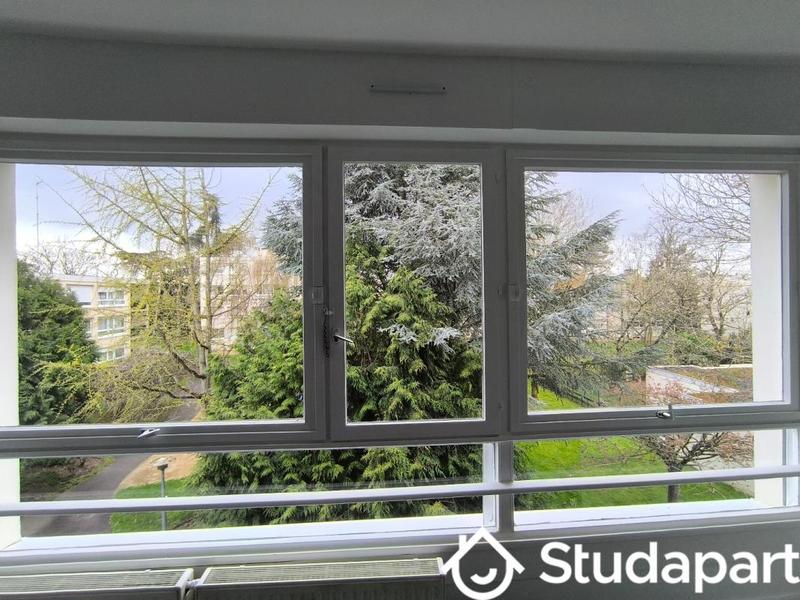 Chambre - 13 m² - 1 pièce