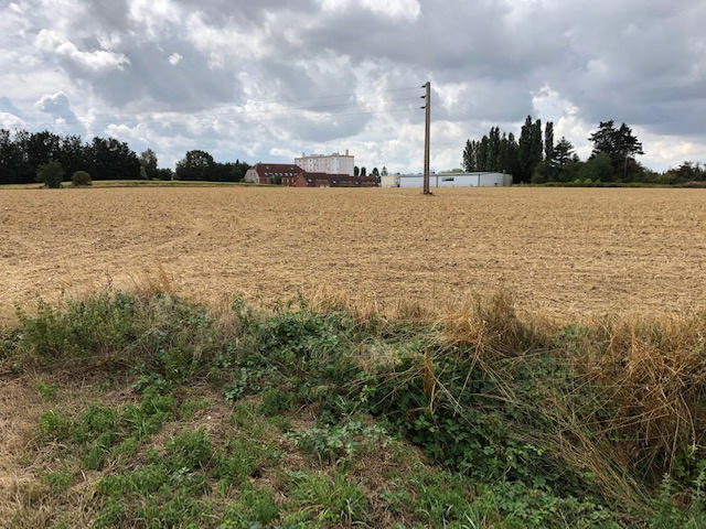 Terrain - 19 083 m²