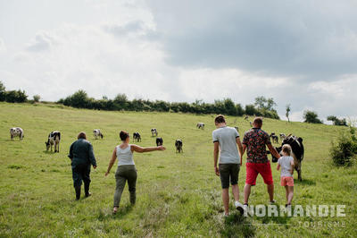 Visite d'une ferme en famille - la vache de Louvicamp