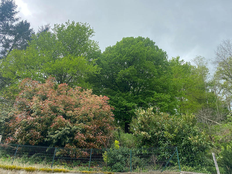 Maison - 125 m² - 7 pièces