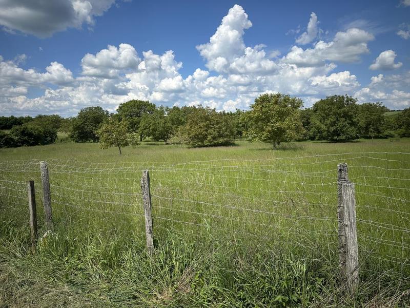 Terrain constructible - 1 161 m²