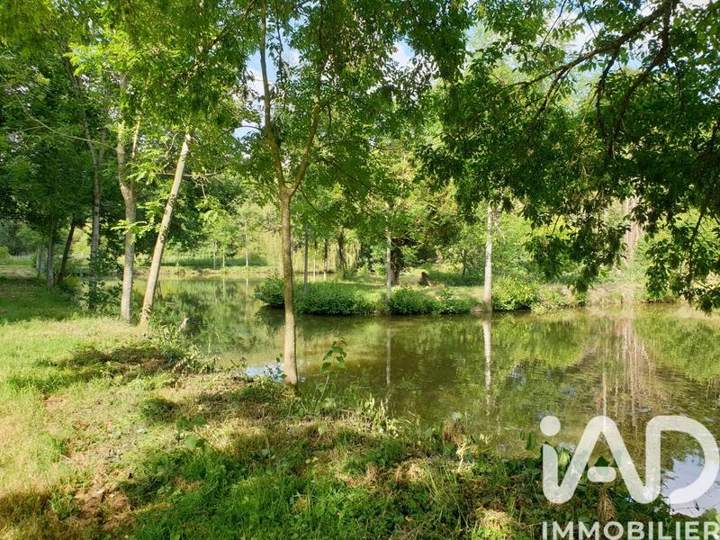 Terrain - 11 797 m²