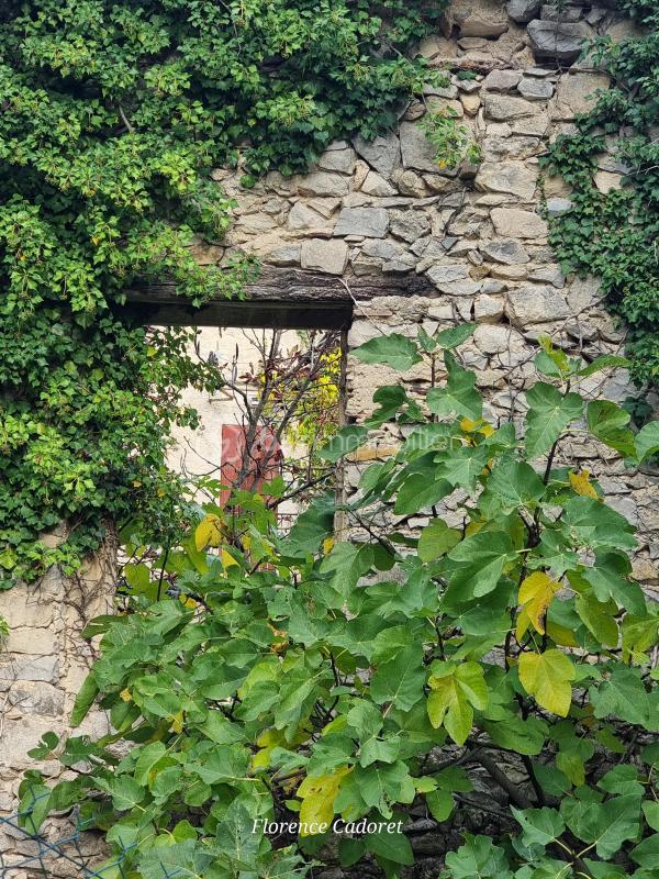 Maison - 400 m² - 10 pièces