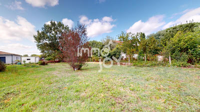 Terrain - 535 m²