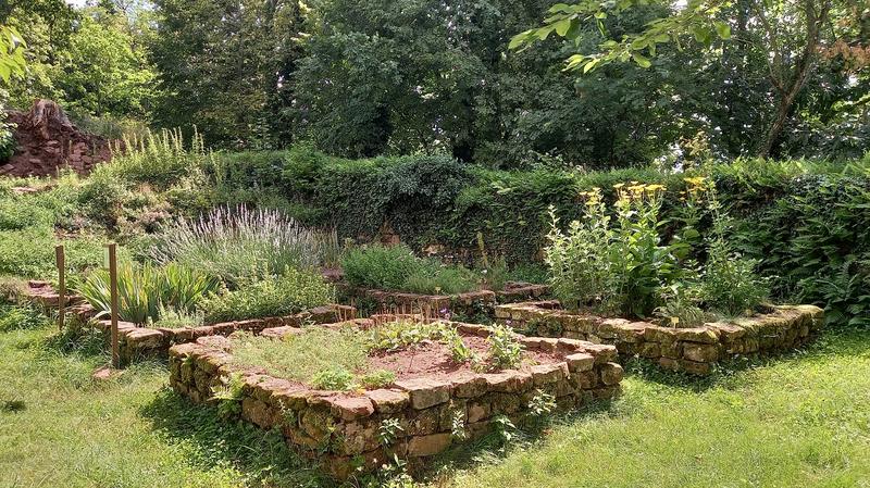 Découverte des châteaux d'Ottrott