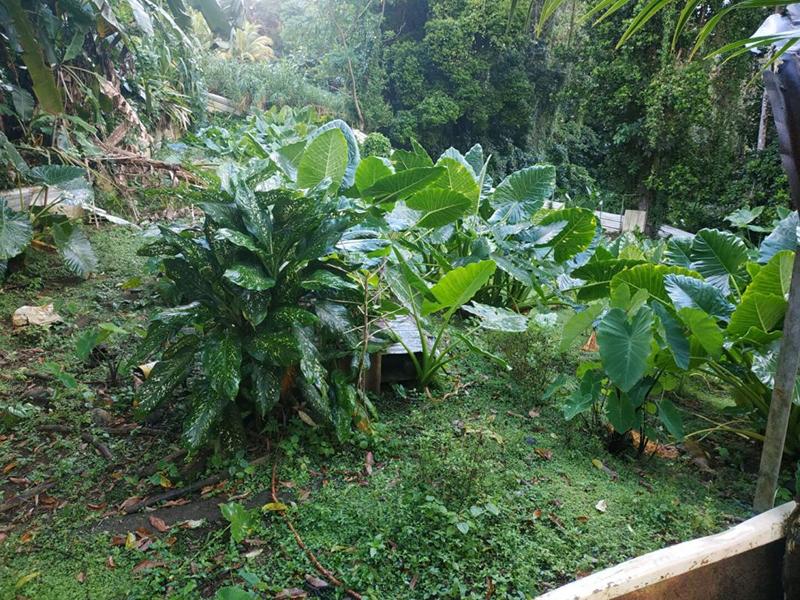 Terrain constructible - 500 m²