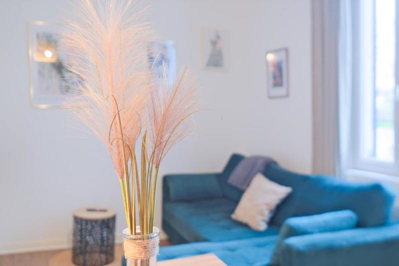 Appartement - 33 m² - 2 pièces