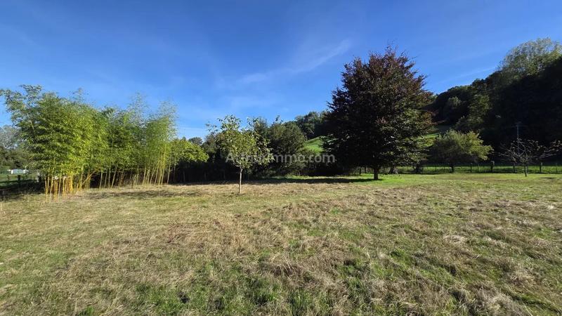 Terrain - 1 654 m²