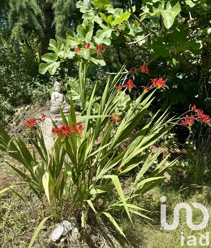 Maison - 144 m² - 5 pièces