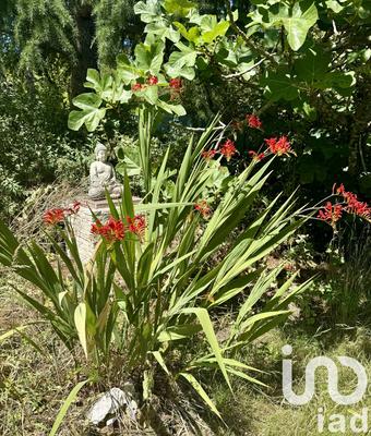 Maison - 144 m² - 5 pièces