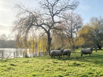 Maison - 120 m² - 7 pièces