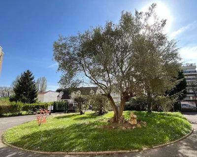 Appartement - 79 m² - 5 pièces