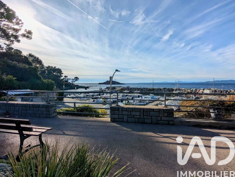 Appartement - 19 m² - 1 pièce