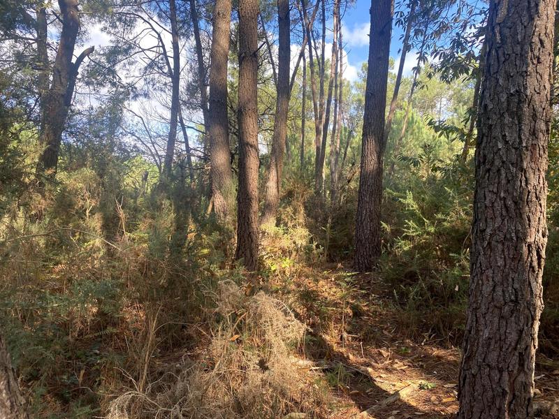 Terrain agricole - 2 890 m²