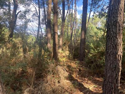 Terrain agricole - 2 890 m²