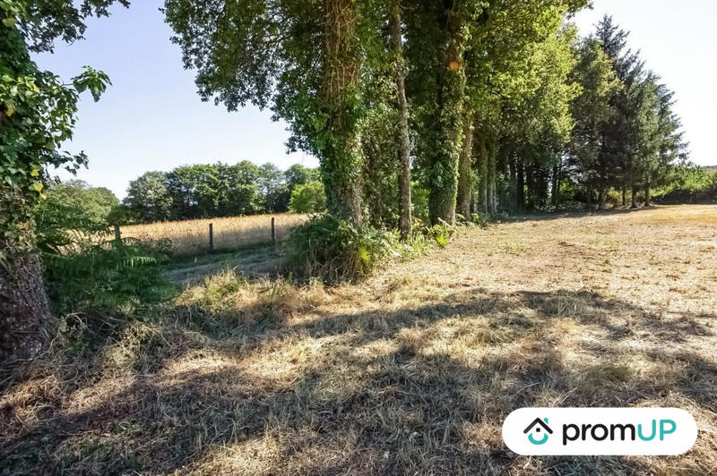 Terrain - 14 623 m²