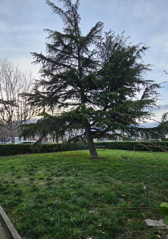 Appartement ancien - 63 m²