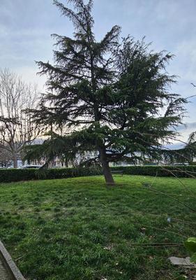 Appartement ancien - 63 m²