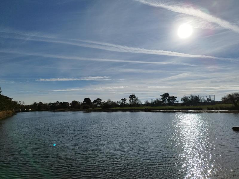 Maison - 35 m² - 3 pièces