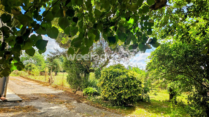 Ferme - 141 m² - 10 pièces