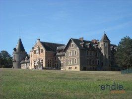 Château - 3 800 m² - 36 pièces