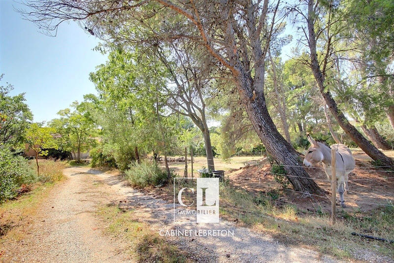 Villa - 295 m² - 5 pièces