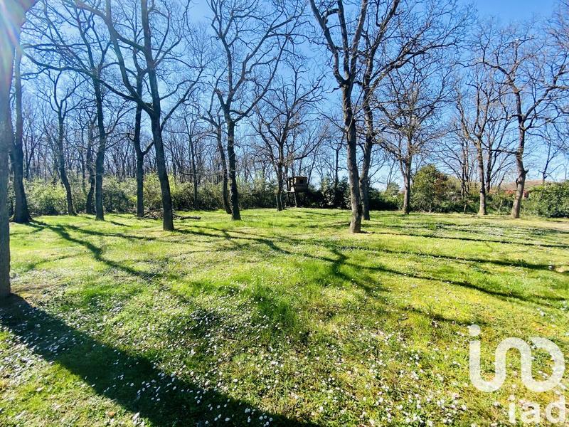 Maison de maîtres - 170 m² - 4 pièces