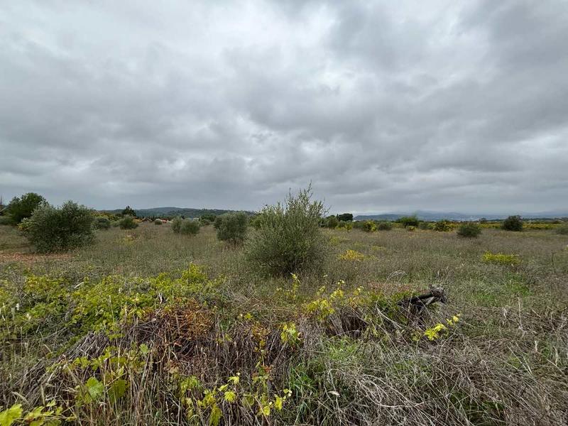 Terrain - 12 476 m²