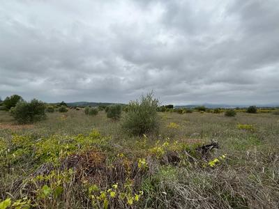 Terrain - 12 476 m²