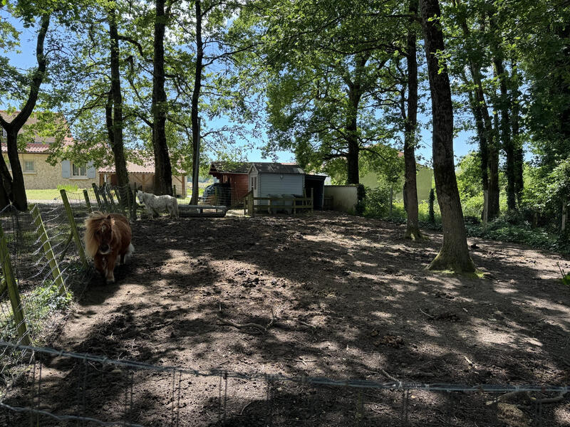 Maison traditionnelle - 240 m² - 8 pièces