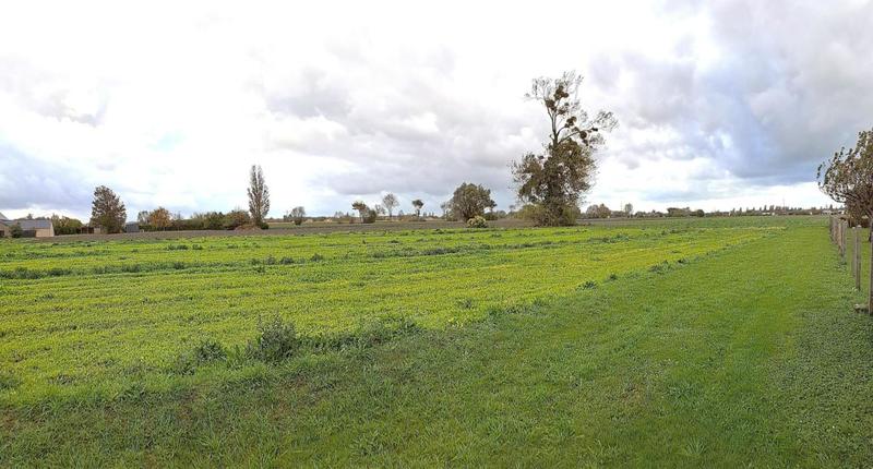 Maison - 126 m² - 5 pièces