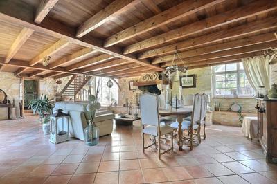 Maison - 373 m² - 10 pièces
