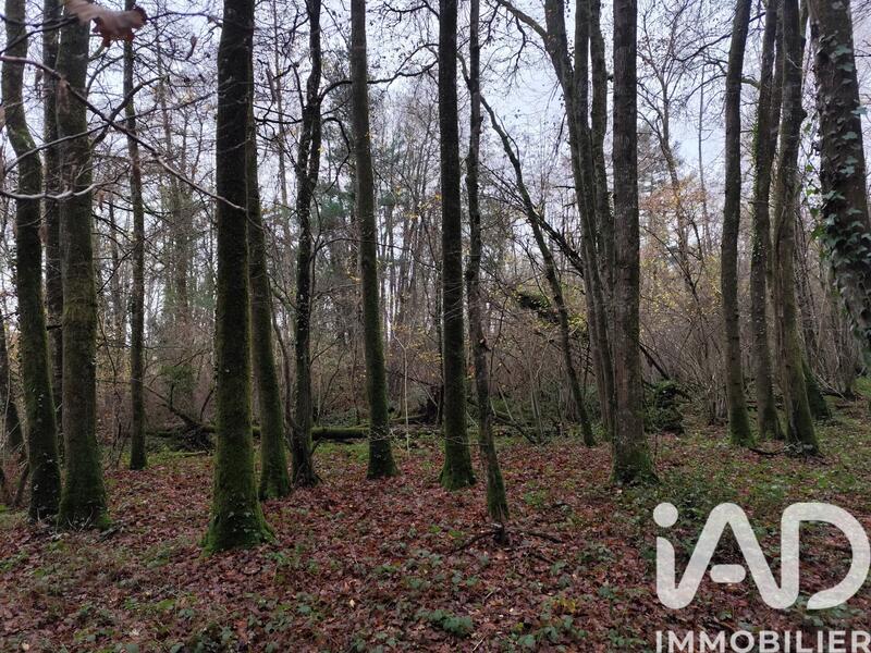 Terrain - 29 105 m²